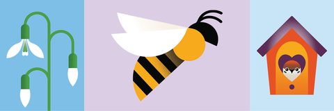 A graphic with a snowdrop bee and bird box