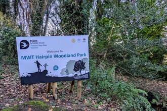 The image shows trees and a sign which reads MWT Hairpin Woodland Park