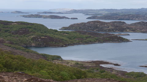 Upland birch wood | Manx Wildlife Trust