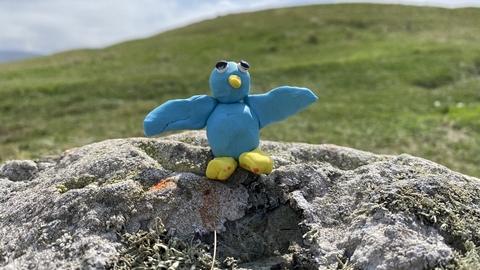 An image of a plasticine bird on a hill 