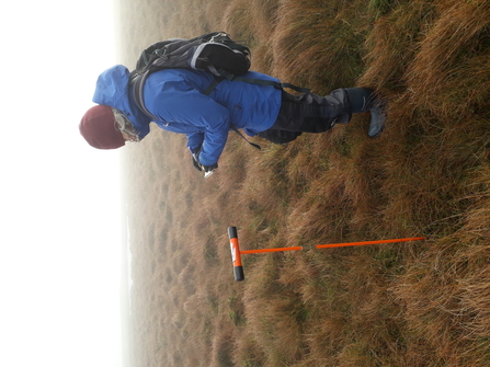 Peat survey