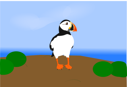 Puffin Illustration 