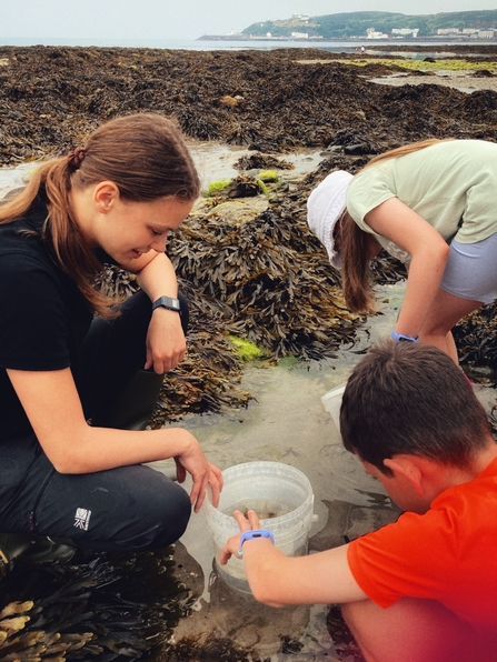 Education Officer Beth looking at rock pool specimens with 2 watch members.