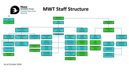 Staffing Structure October 2024