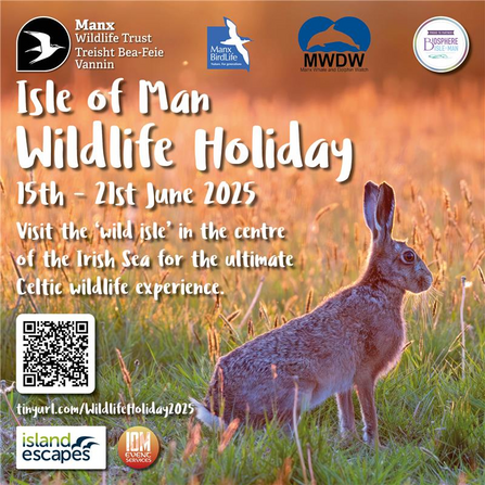 Isle of Man Wildlife Holiday 