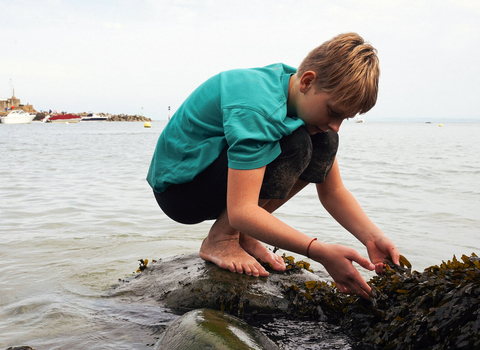 boy in a blue shirt stood on a rock looking at seaweed